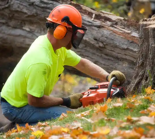 tree services Walden